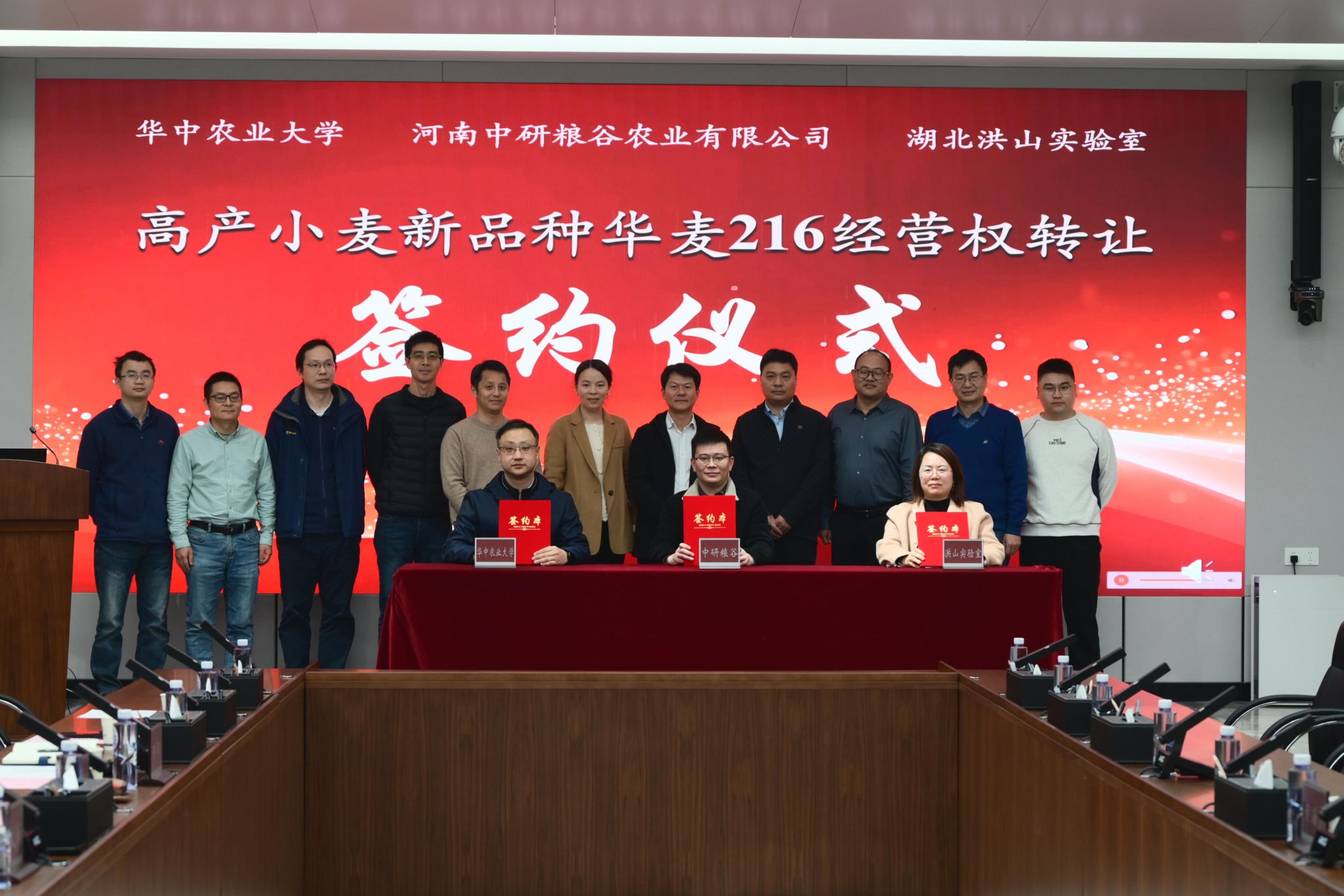 华麦216成果转化落地：高产优质小麦新品种进入规模化推广阶段
