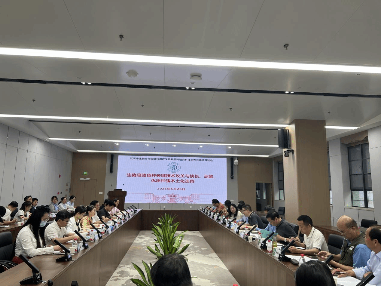 武汉市科技重大专项现场验收会在洪山实验室召开